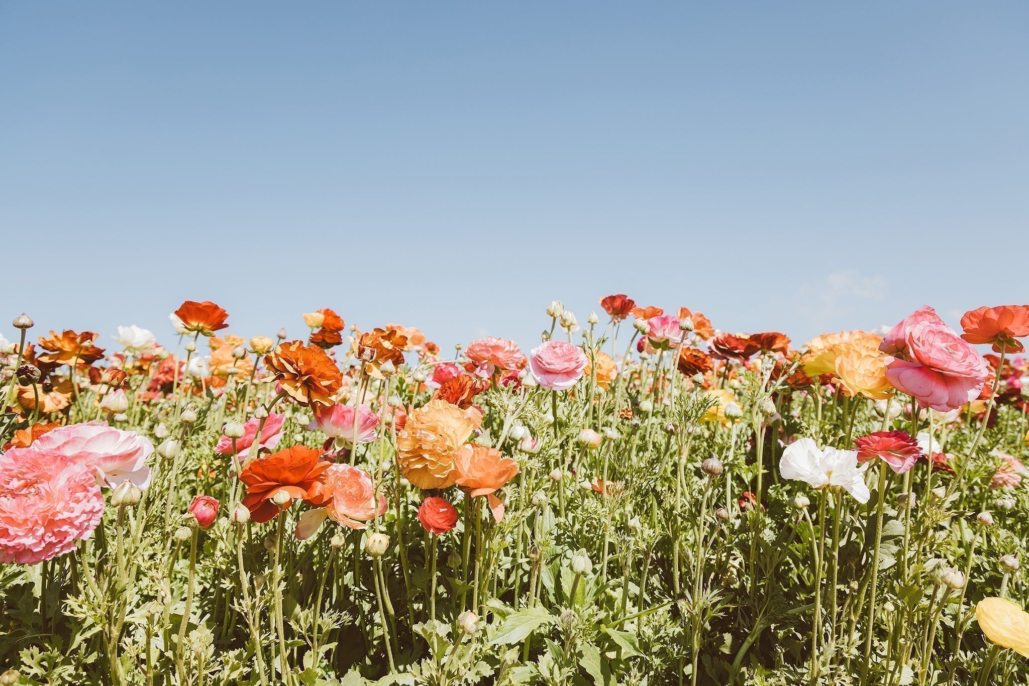 Spring Wardrobe Refresh: Light Layers & Effortless Style