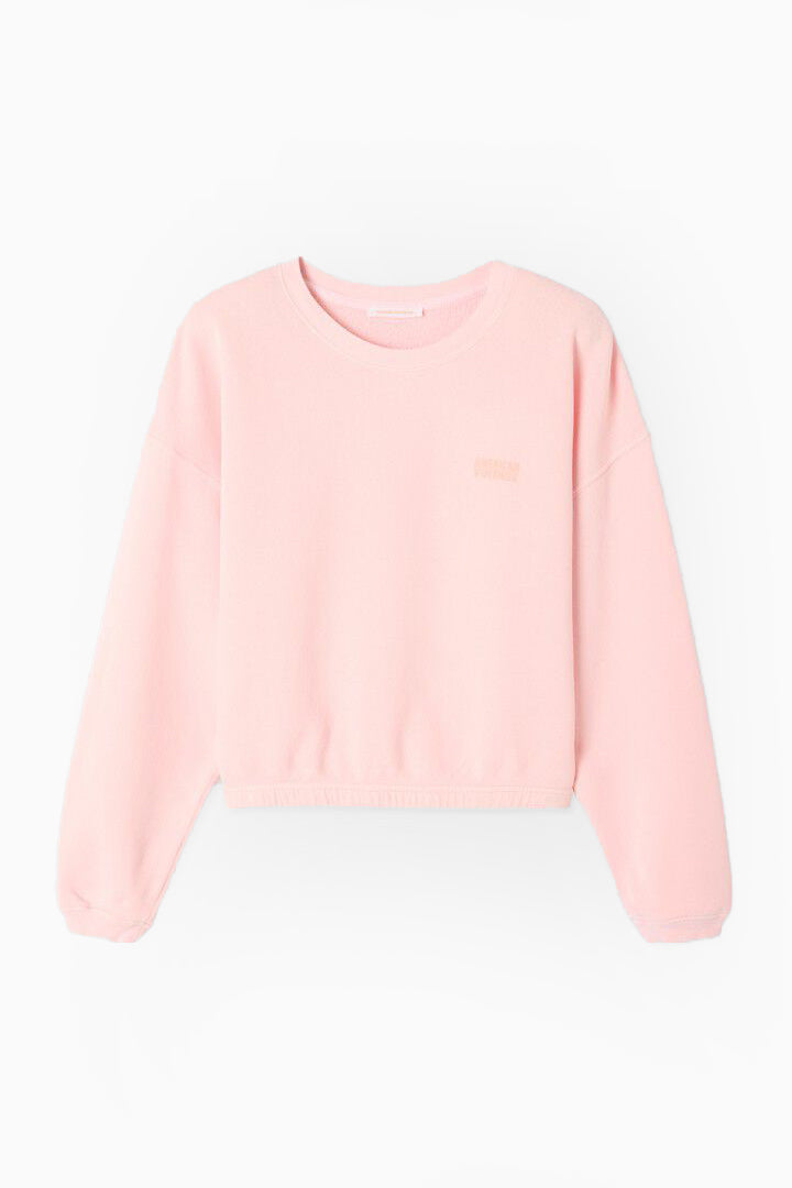Izubird Sweatshirt - Vintage Candy