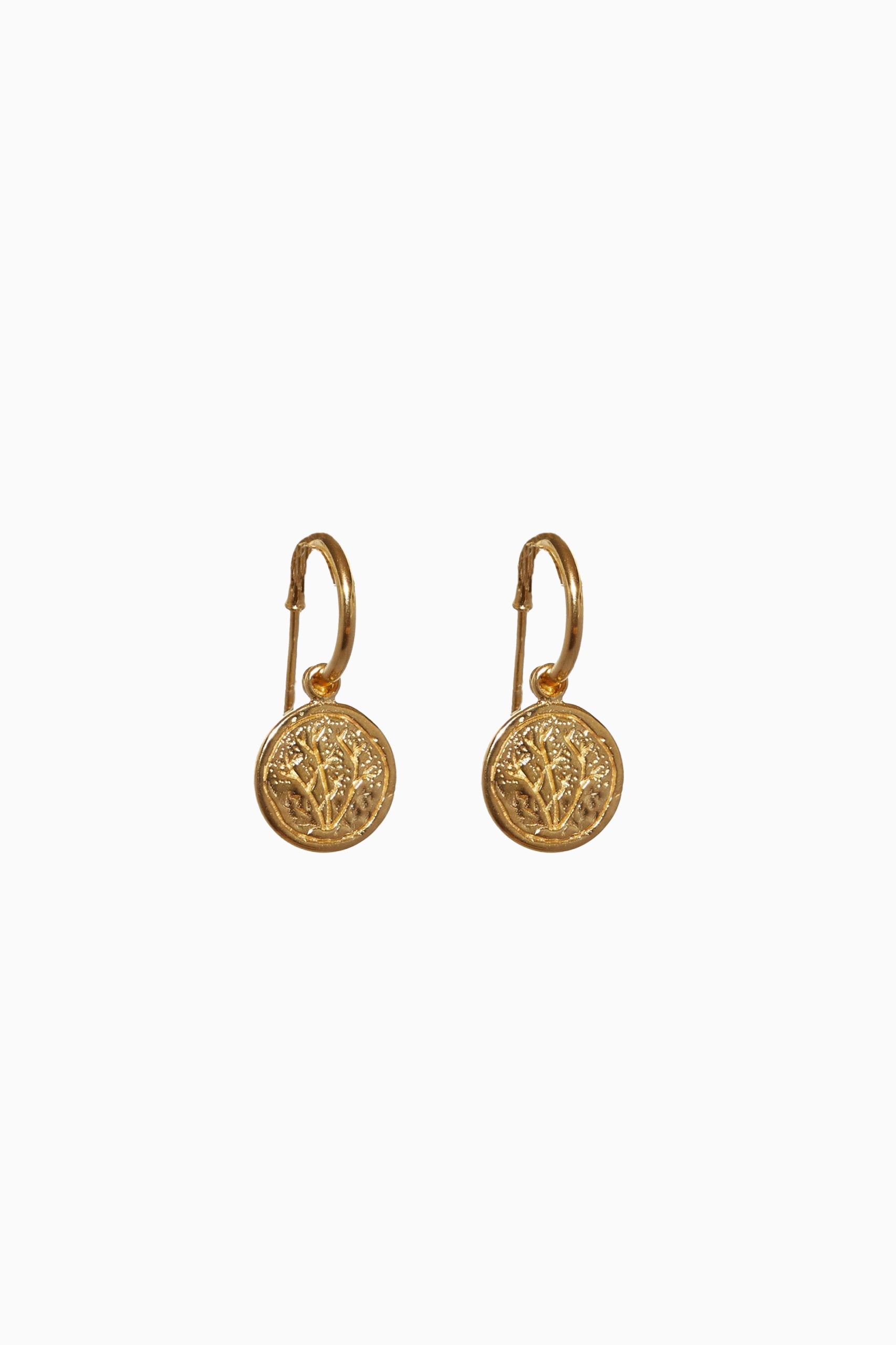 Maje Earrings - Gold