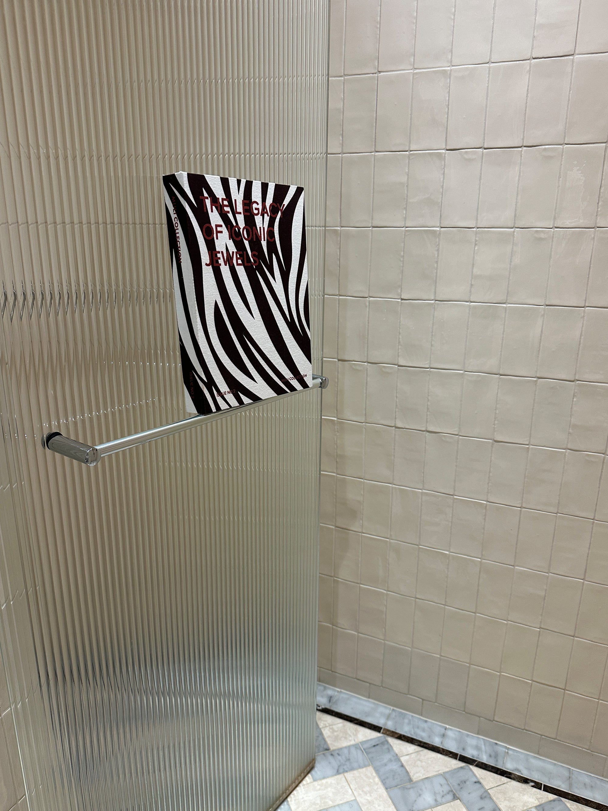 Coffee Table Book Jewelry Case Zebra