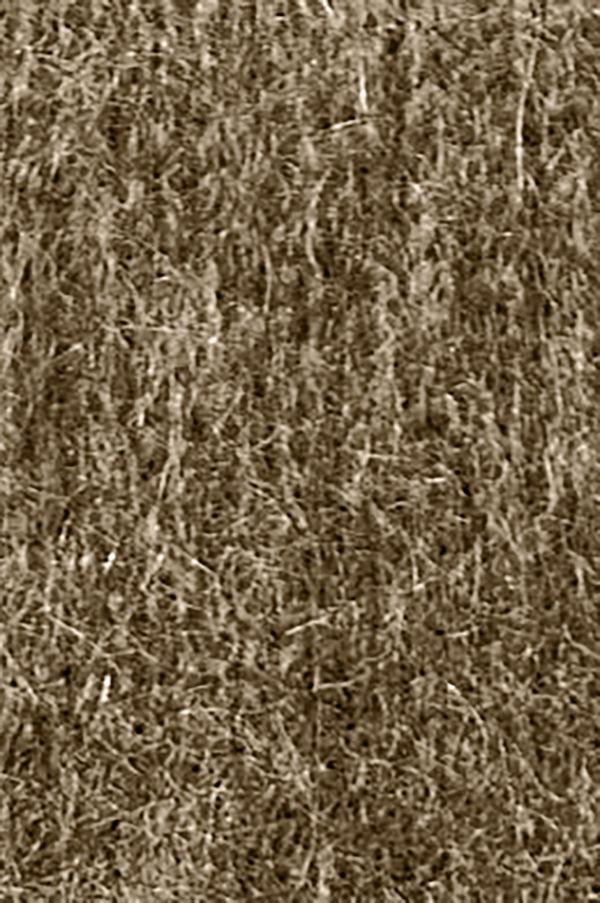 Doanna Top - Dark Brown