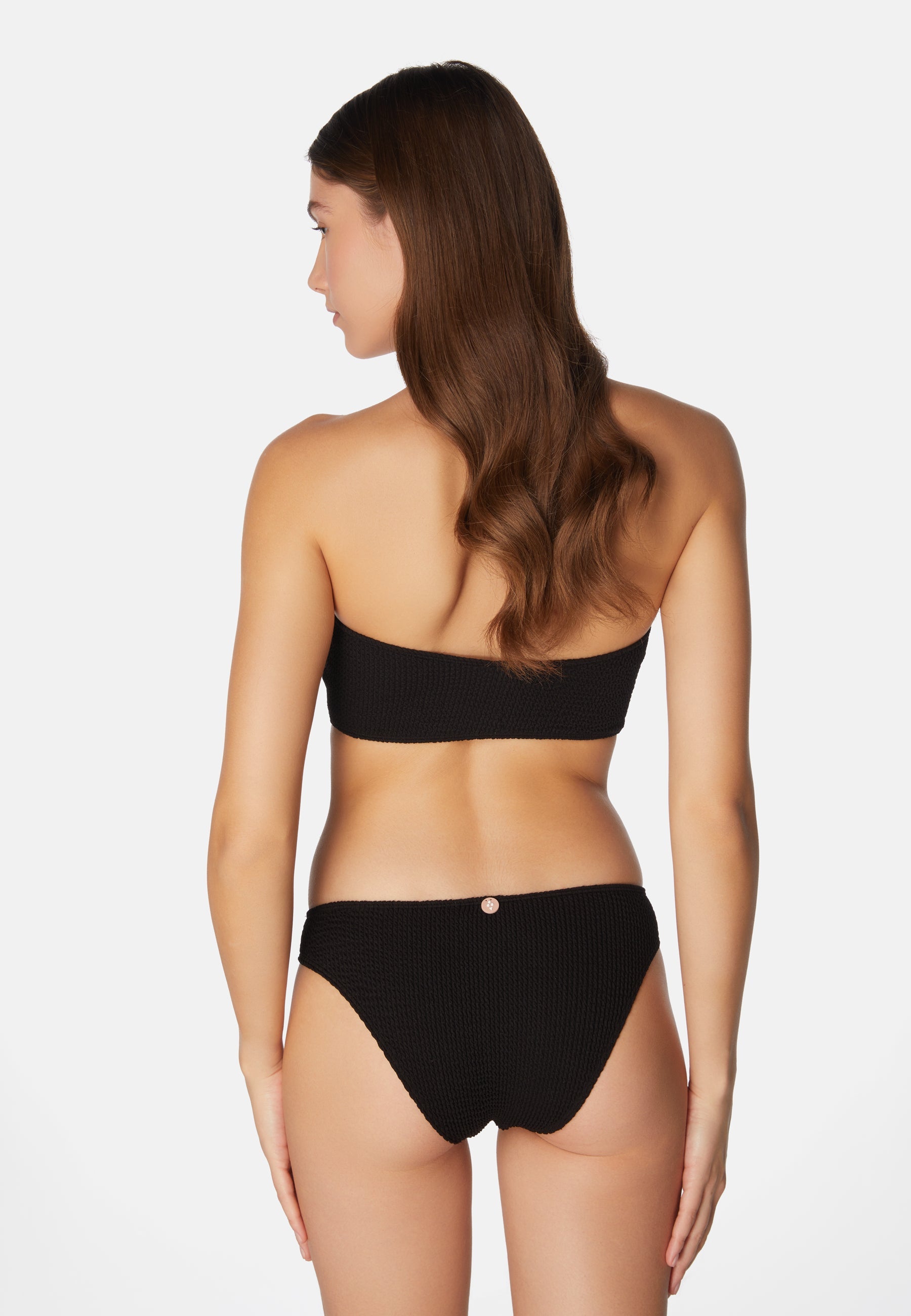 Bikini Lory - Liquorice